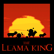 The Llama King