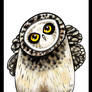 Curious Short eared Owl