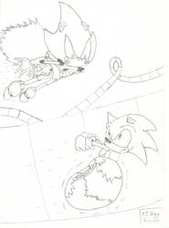 Sonic and Metal Sonic