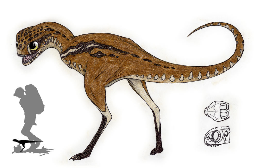 The Living Dinosaurs: Common Hottentot