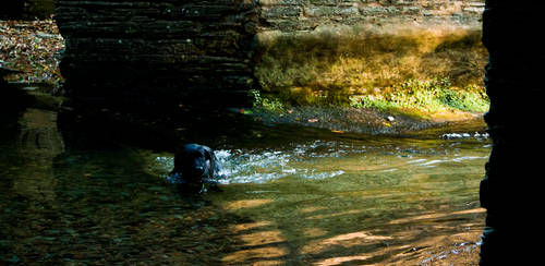 Water Under The Bridge