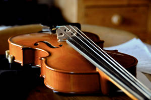 From a Violin's point of view