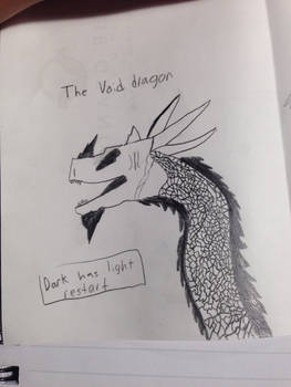 The void dragon