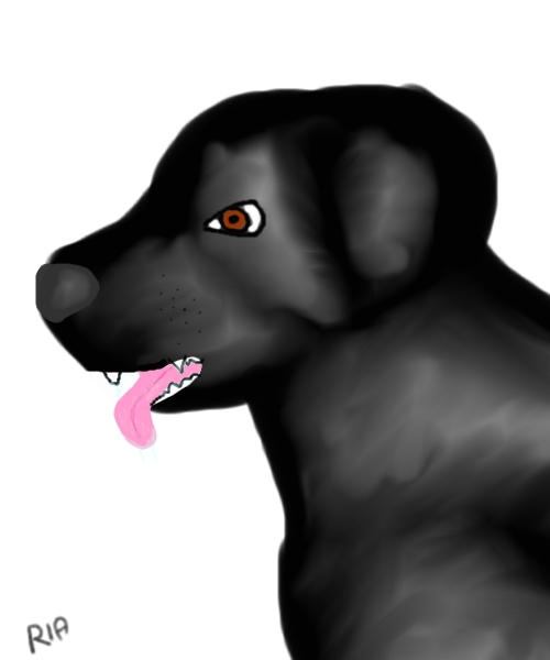 Black Lab Deviantart Black Labrador by littleRiusQa on DeviantArt