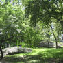 walk in central park 1