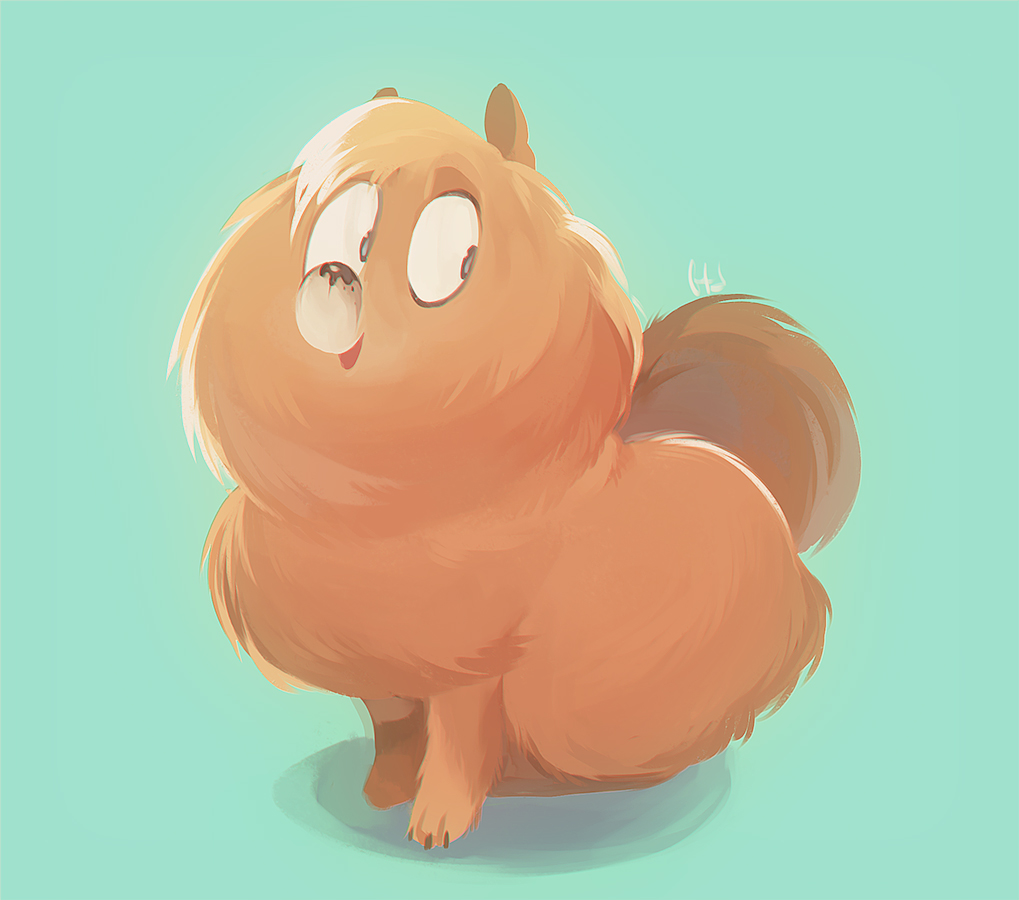 pomeranian