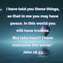 John 16:33