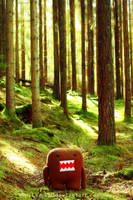 Domo in the swedish forrest