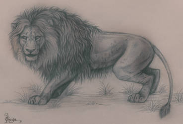 Natural lion