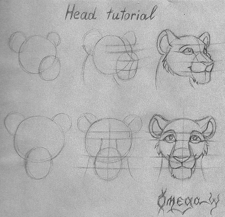 Head tutorial by OmegaLioness on DeviantArt