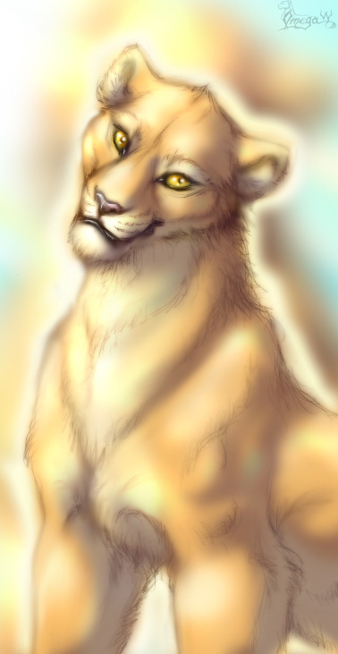 Lioness portrait