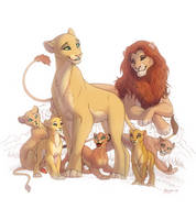 Lion familly