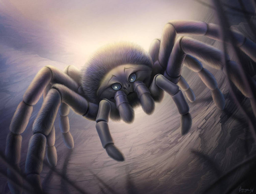 The smile of a spider by OmegaLioness on DeviantArt