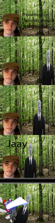 How marble hornets should have ended