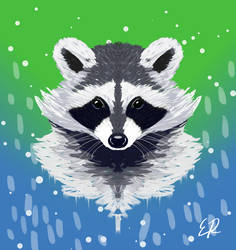 Raccoon