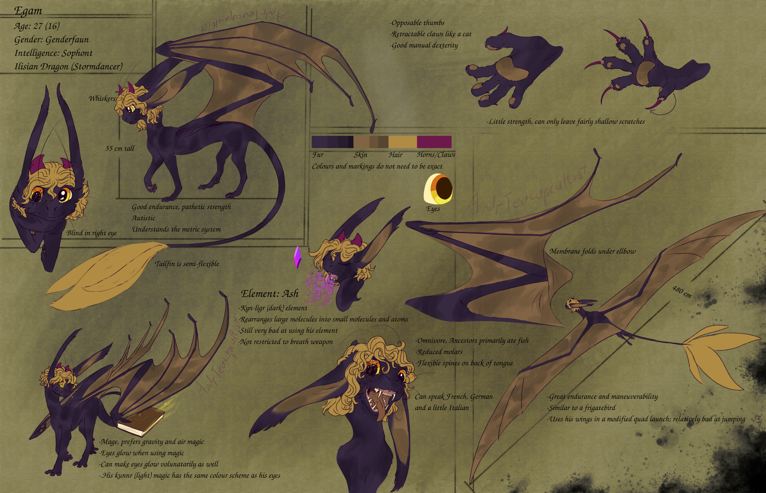 Egam reference sheet 2023 by seionara on DeviantArt