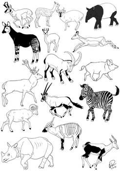 Ungulates