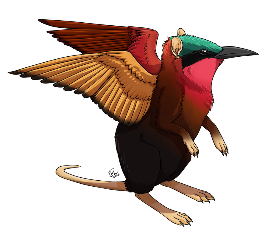 Sengi/Bee-eater Griffin by twapa