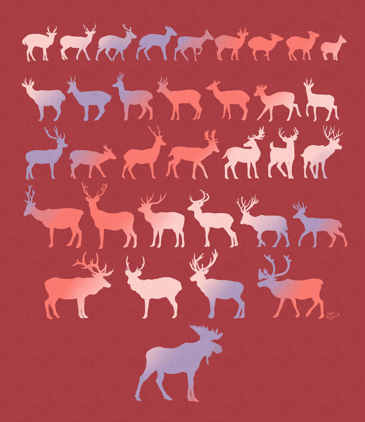 Types of Deers.