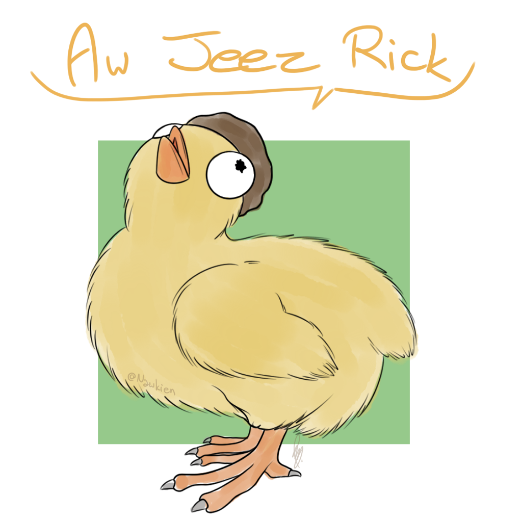 Derpy Morty Chicken