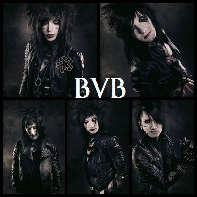 Black Veil Brides Banner 2