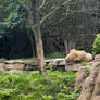 Philadelphia Zoo 08