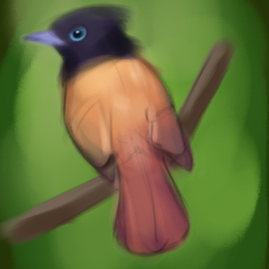 Bird I dunno