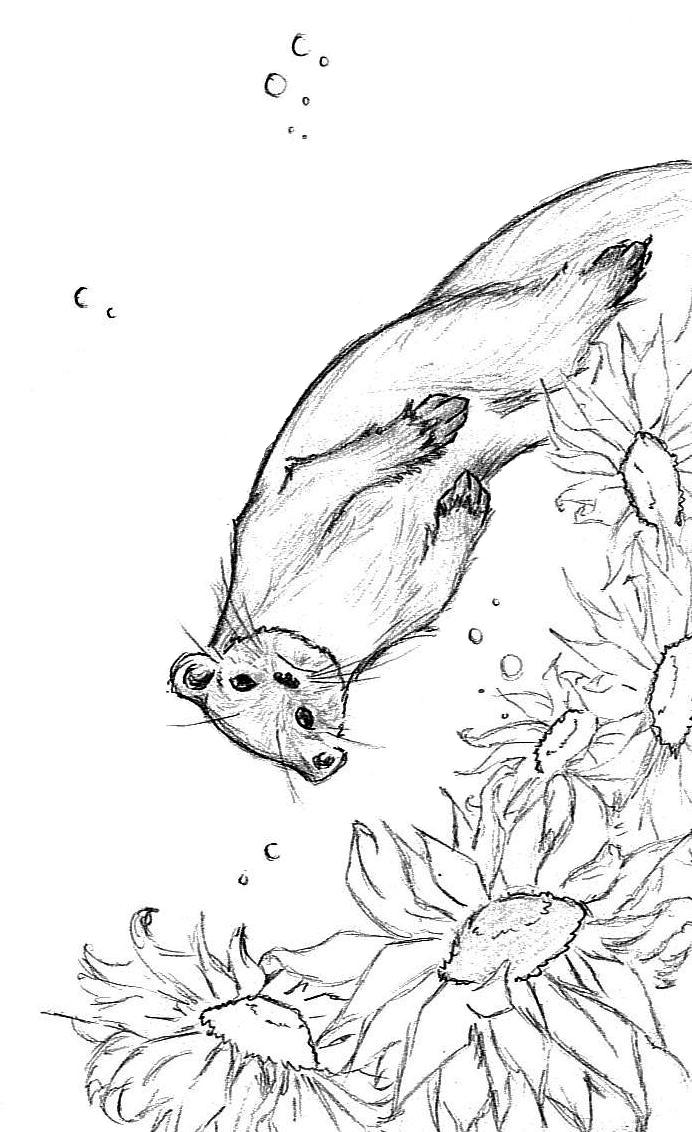 Otter and Sunflowers