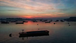 Sunrise on Danube in Zemun park