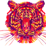 Tiger Red Yellow Purple