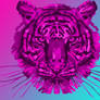 Pink Tiger on Pink and Blue Background