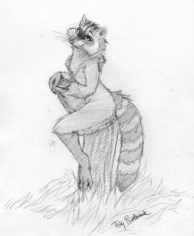 Sketch- Sitting Pretty