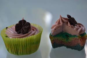 Colorful Cupcakes