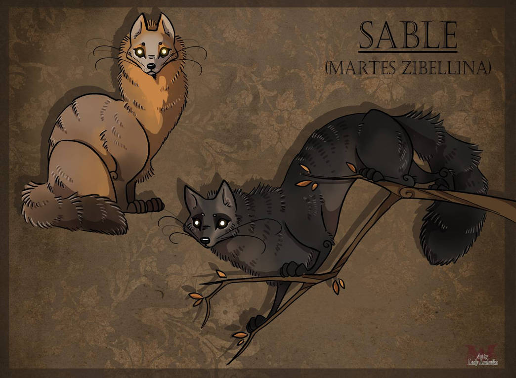 Sable by Ludevika on DeviantArt