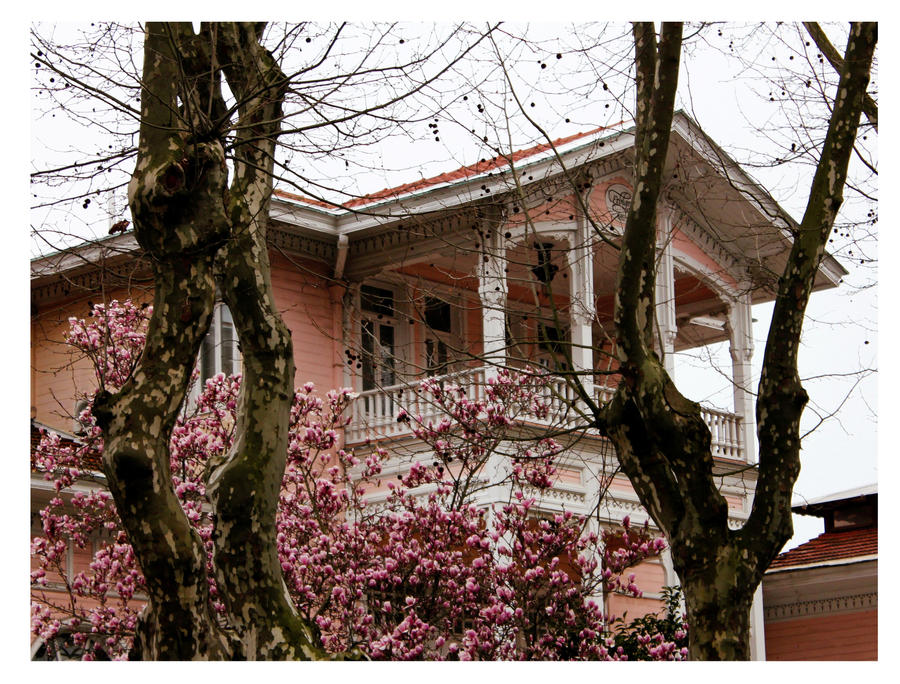 Houses Of Istanbul VII