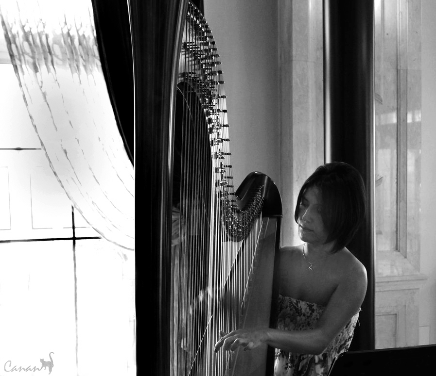 The Harpist