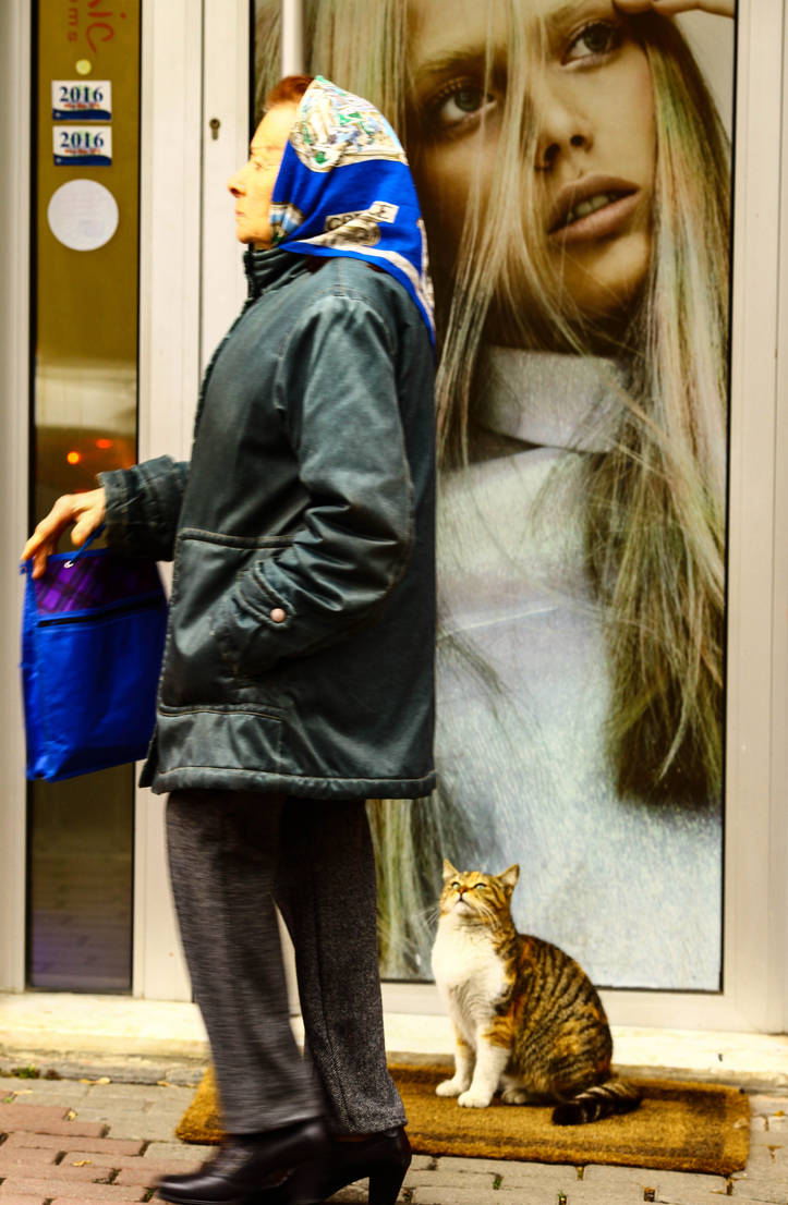 Different Points of View by Canankk Different Points of View by Canankk