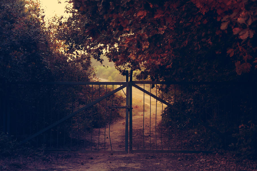 Heaven Can Wait by Canankk Heaven Can Wait by Canankk