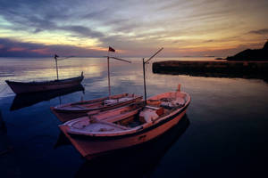 Pink Boats of Blacksea by Canankk