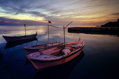 Pink Boats of Blacksea