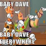 Baby dave is everywhere