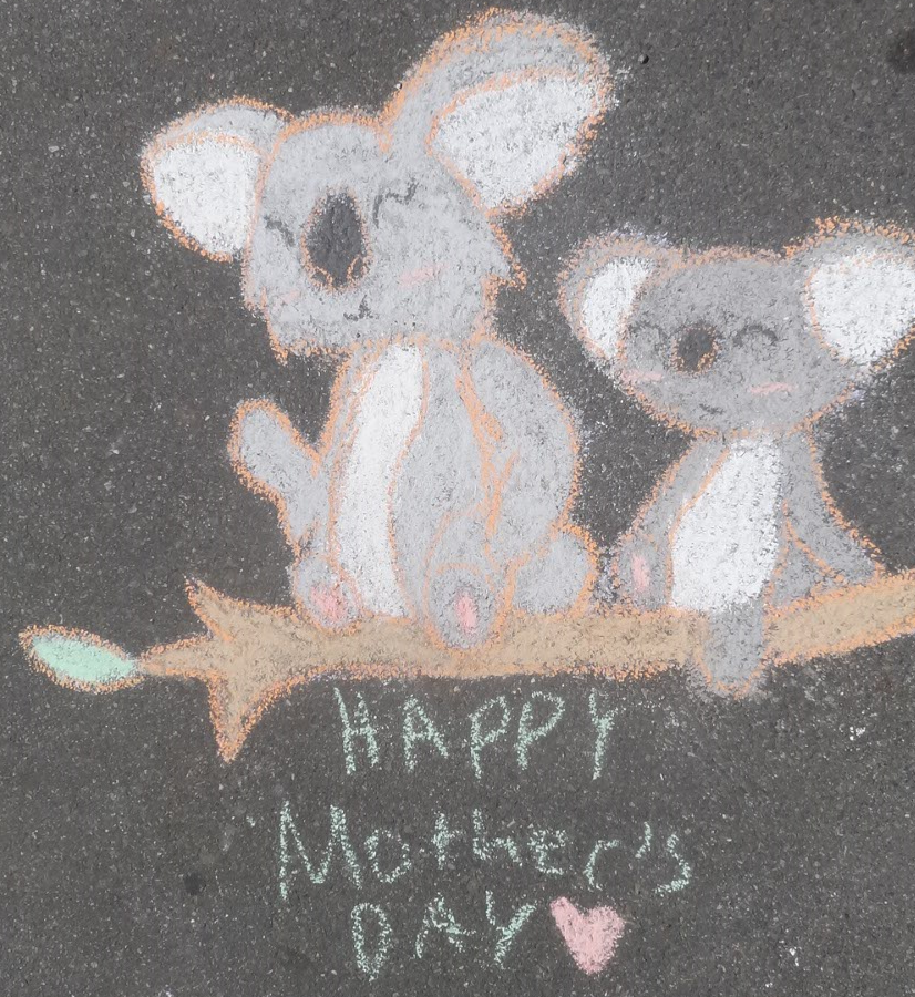 Mommy and Baby Koala Chalk Art