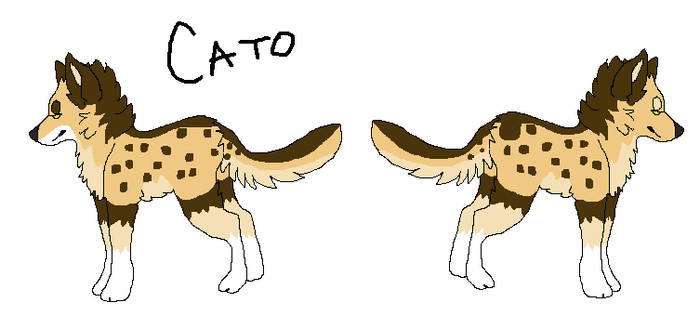 'Cato' Adoptable OPEN $2 or 200 Pts