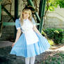 Alice 7