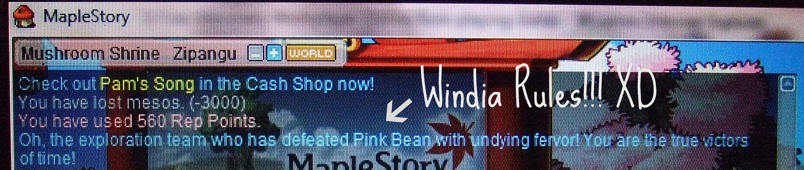 Pink Bean Defeat in Windia