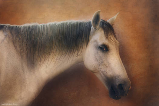 Painting Horse