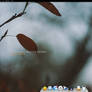 21.10.12 Desktop