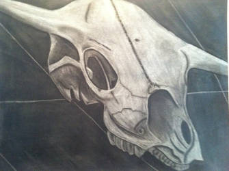 Skull