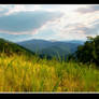 Golden Grass, Endless Mountain