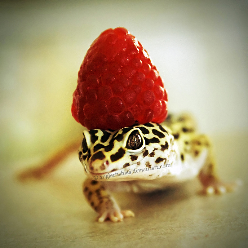 Raspberry II by anglerfishies